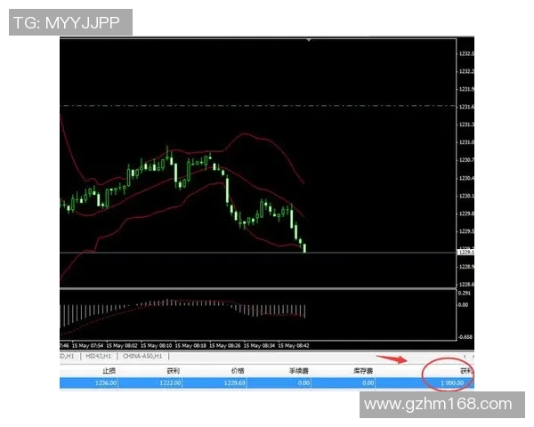 威廉与罗达精彩对决直播全程回顾与分析分享