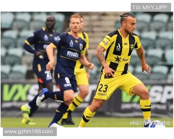 威灵顿凤凰对阵悉尼FC比赛分析与推荐策略分享