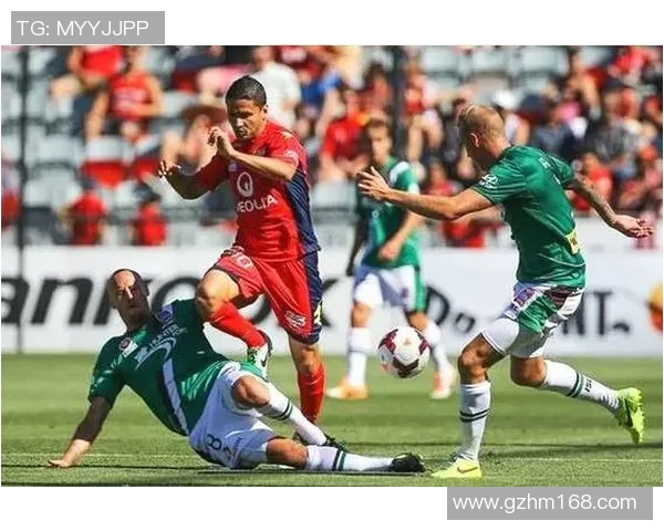 悉尼与墨尔本激战正酣比分更新分析及赛况回顾 悉尼与墨尔本激战正酣比分更新分析及赛况回顾