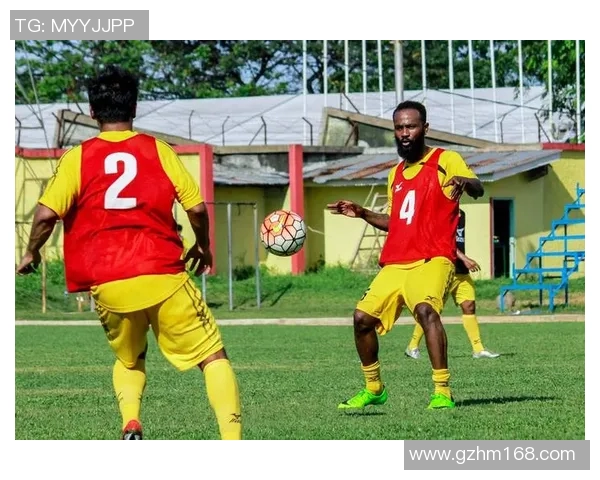 新加坡与印尼足球对决前瞻及比分预测分析