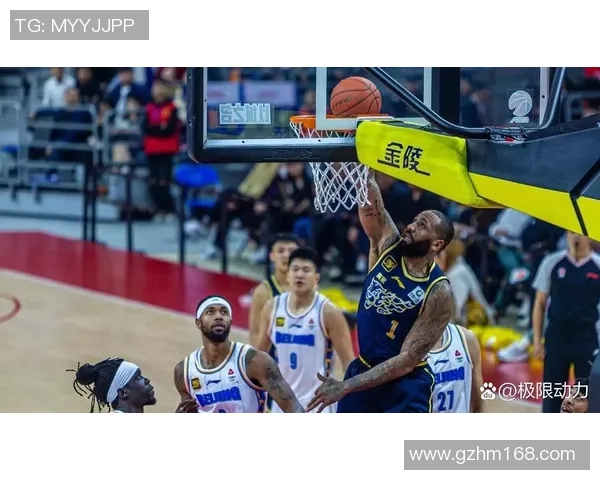 2015至2016赛季辽宁队对阵新疆队精彩回顾与赛季分析