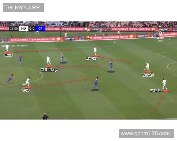 武汉排球队的节奏解析：从战术到团队协作的全面解读
