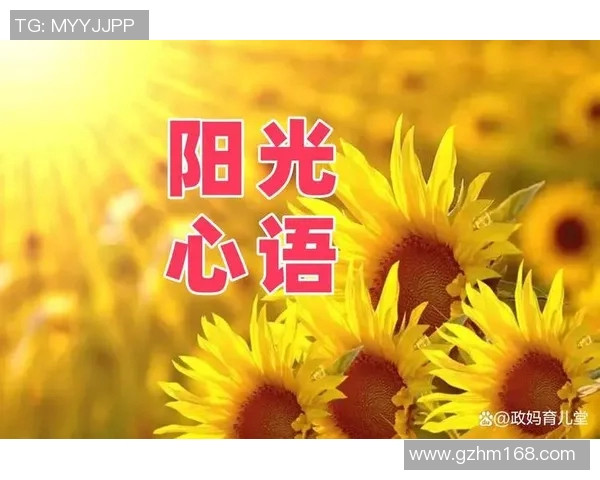 刘芳的排球人生深度对话：从赛场到人生的启示与成长之路