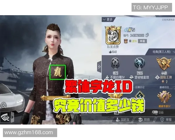 和平精英深度解析：探讨TES团队的运营策略与成功之道