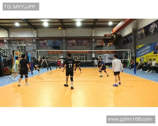 杭州排球队状态对比深度分析与未来发展趋势探讨